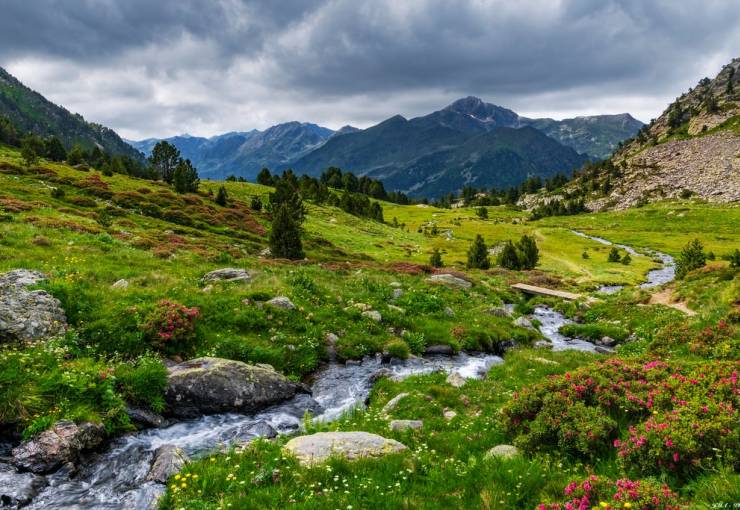 Explorer les merveilles naturelles de la vallée de Sorteny en Andorre